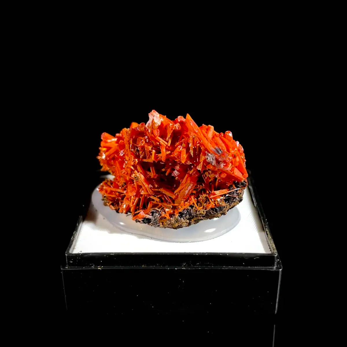 Natural Australian Crocoite Crystal Specimen | Rare Lead Chromate Mineral on Matrix | Collector’s Grade |  4*2.5*2 cm