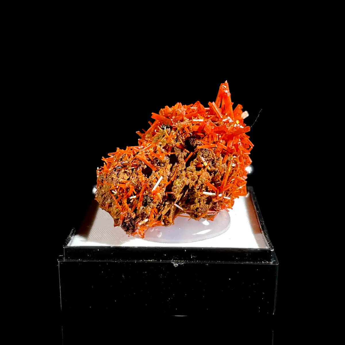Natural Australian Crocoite Crystal Specimen | Rare Lead Chromate Mineral on Matrix | Collector’s Grade |  3.5*2.5*2.5 cm