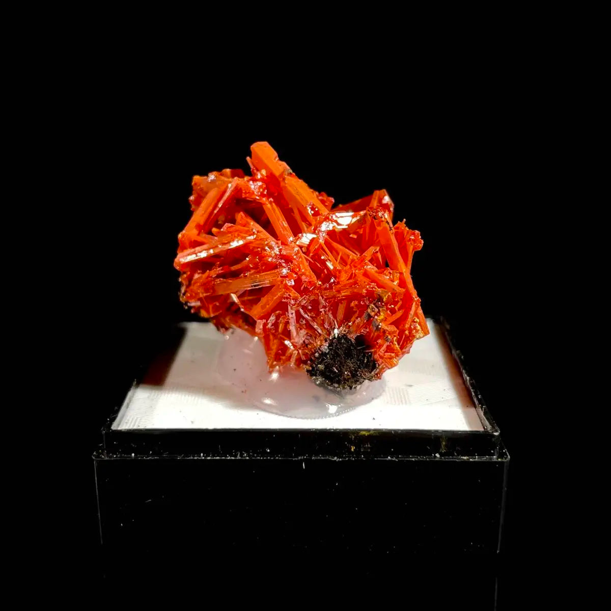 Natural Australian Crocoite Crystal Specimen | Rare Lead Chromate Mineral on Matrix | Collector’s Grade |  3.5*2.5*2.5 cm