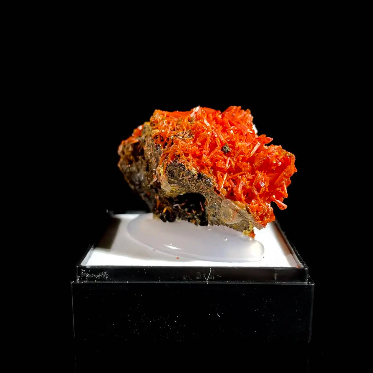 Natural Australian Crocoite Crystal Specimen | Rare Lead Chromate Mineral on Matrix | Collector’s Grade |  4.5*2.5*2 cm