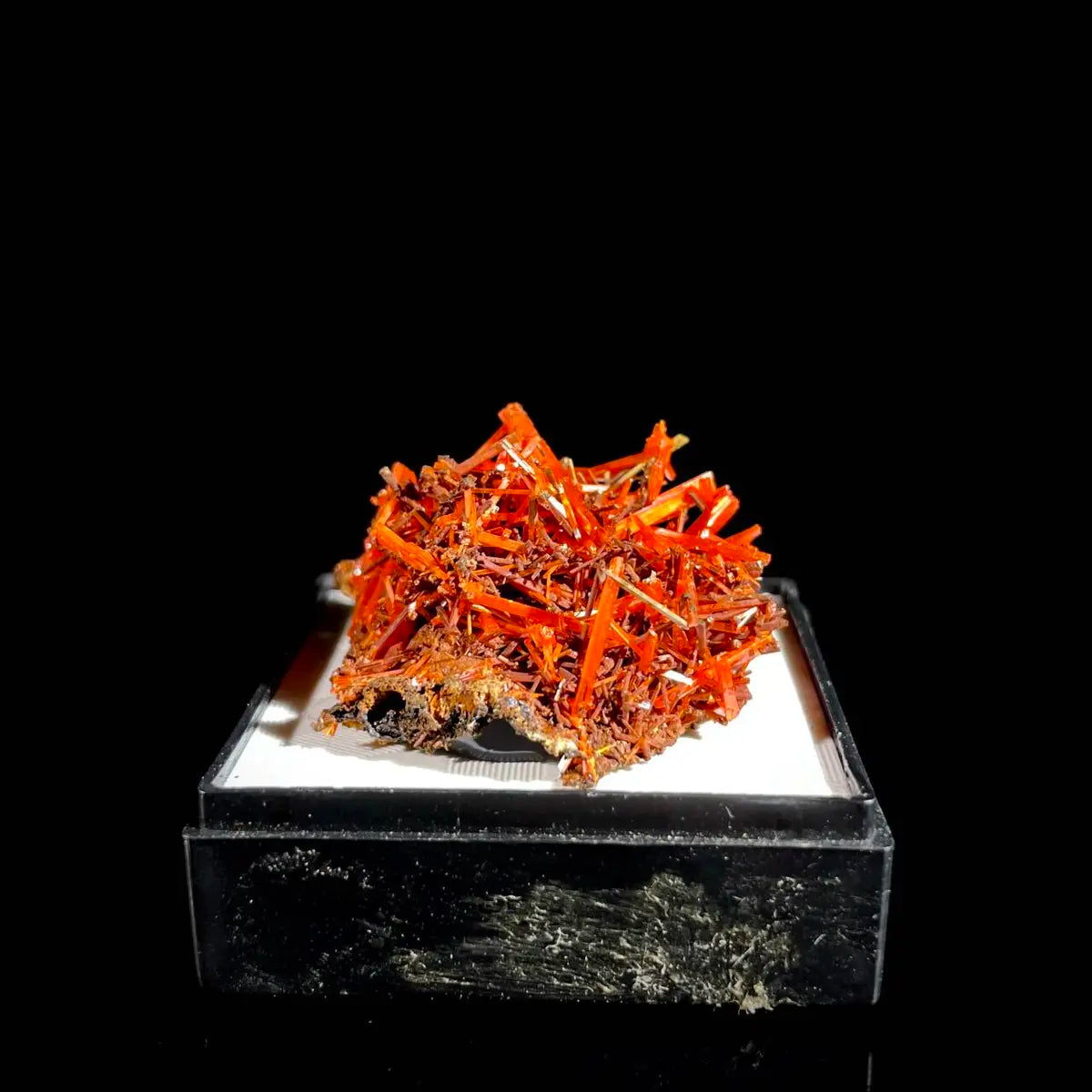 Natural Australian Crocoite Crystal Specimen | Rare Lead Chromate Mineral on Matrix | Collector’s Grade |  3.5*3*1.5 cm