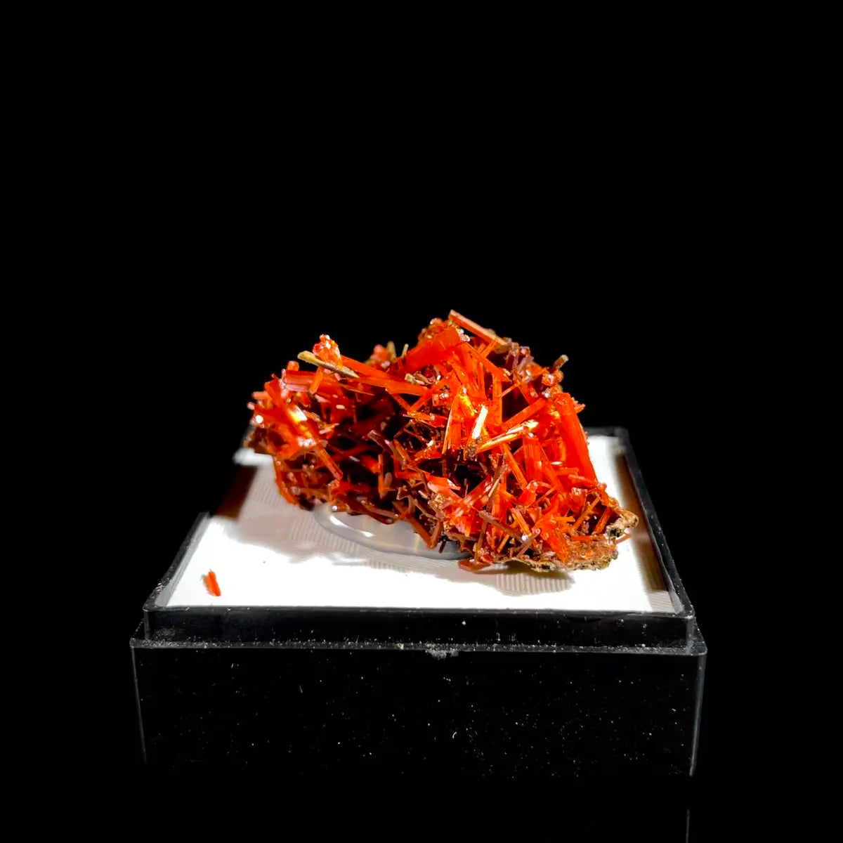 Natural Australian Crocoite Crystal Specimen | Rare Lead Chromate Mineral on Matrix | Collector’s Grade |  3.5*3*1.5 cm