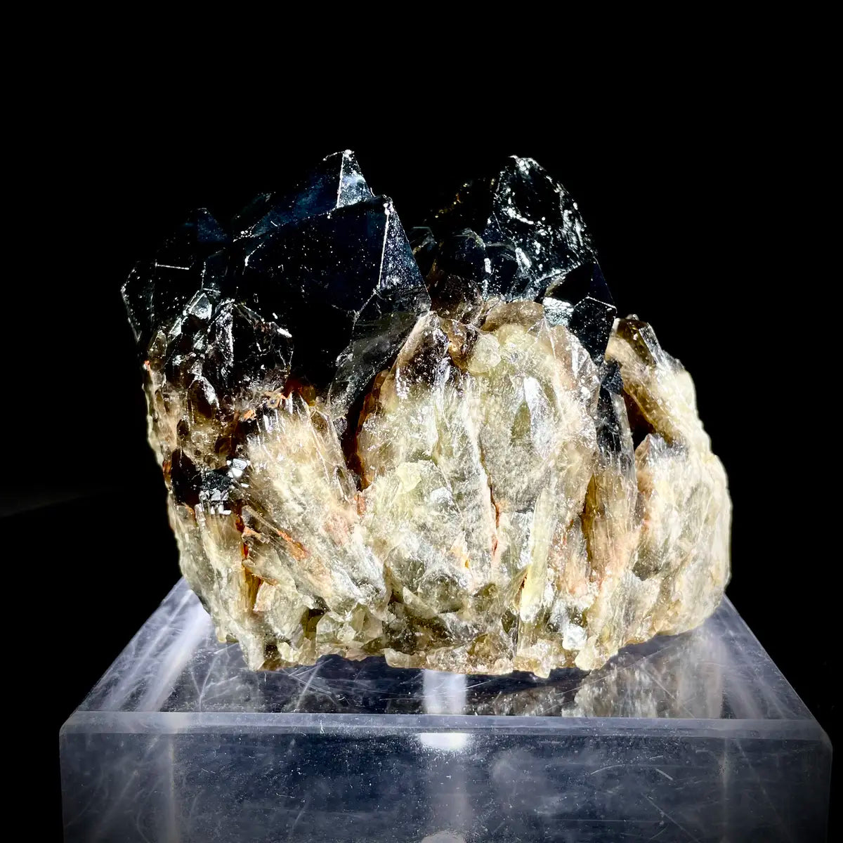 Natural Black Quartz Crystal Specimen | 820 g | 12.5*8*6 cm | Quartz Minerals | Brazil/Madagascar