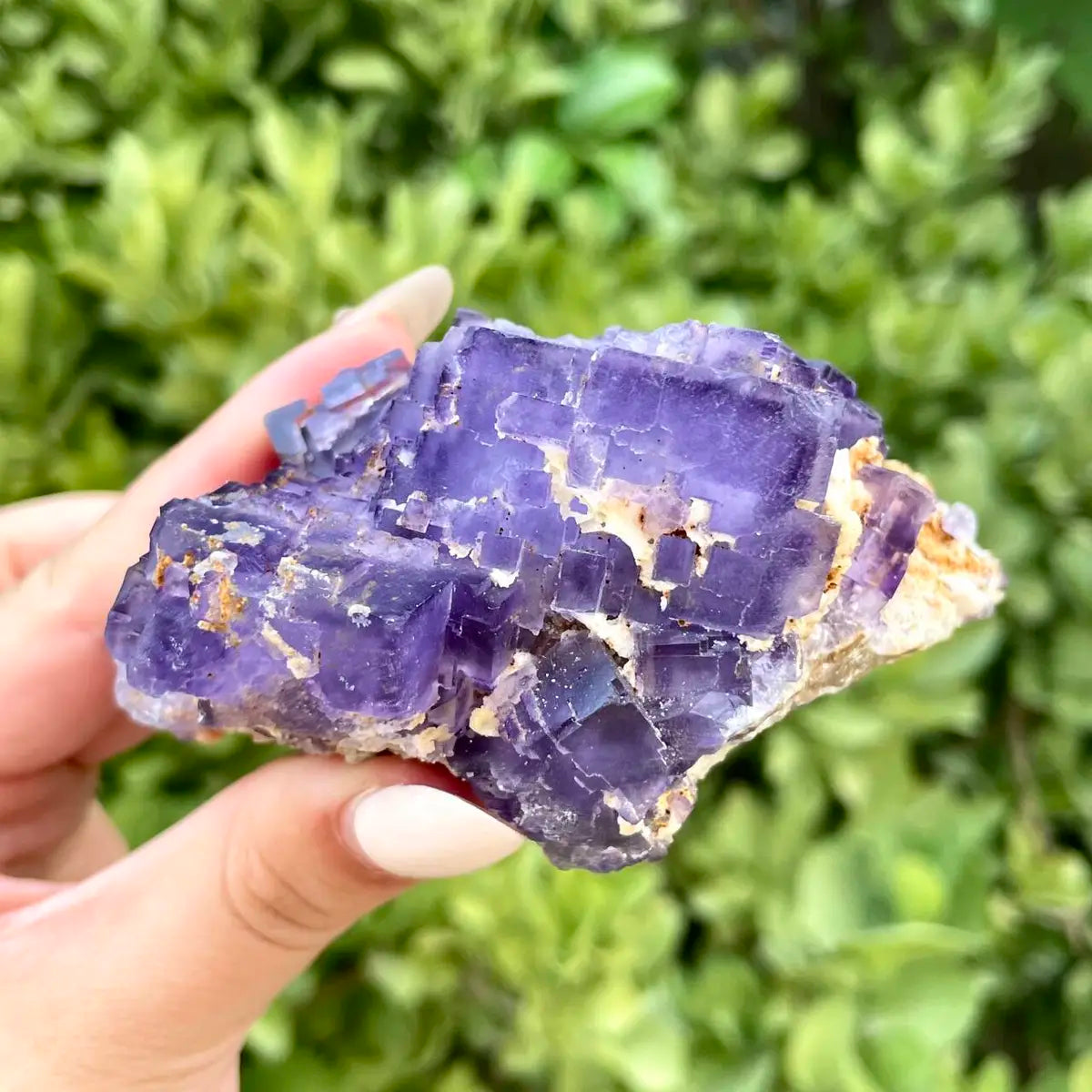 Xinjiang Matrix Fluorite Specimen | Xinjiang, China | 250g | 9*6*4cm | Fluorite on Matrix | Collector Mineral Sample