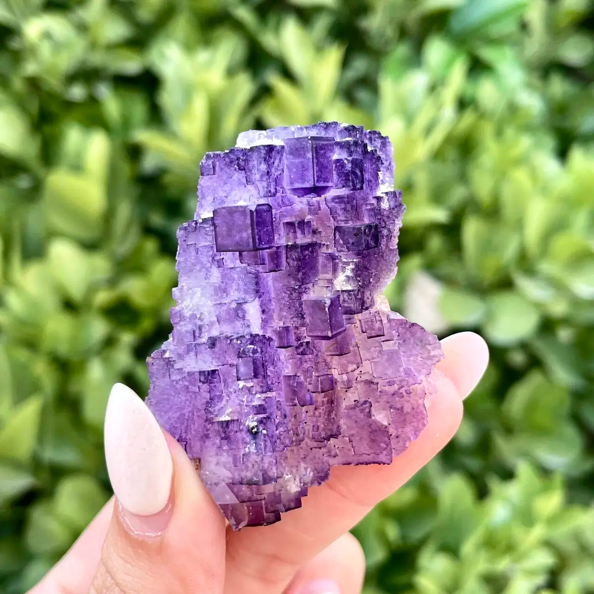 Xinjiang Matrix Fluorite Specimen | Xinjiang, China | 30g | 5.5*4*3 cm | Fluorite on Matrix | Collector Mineral Sample