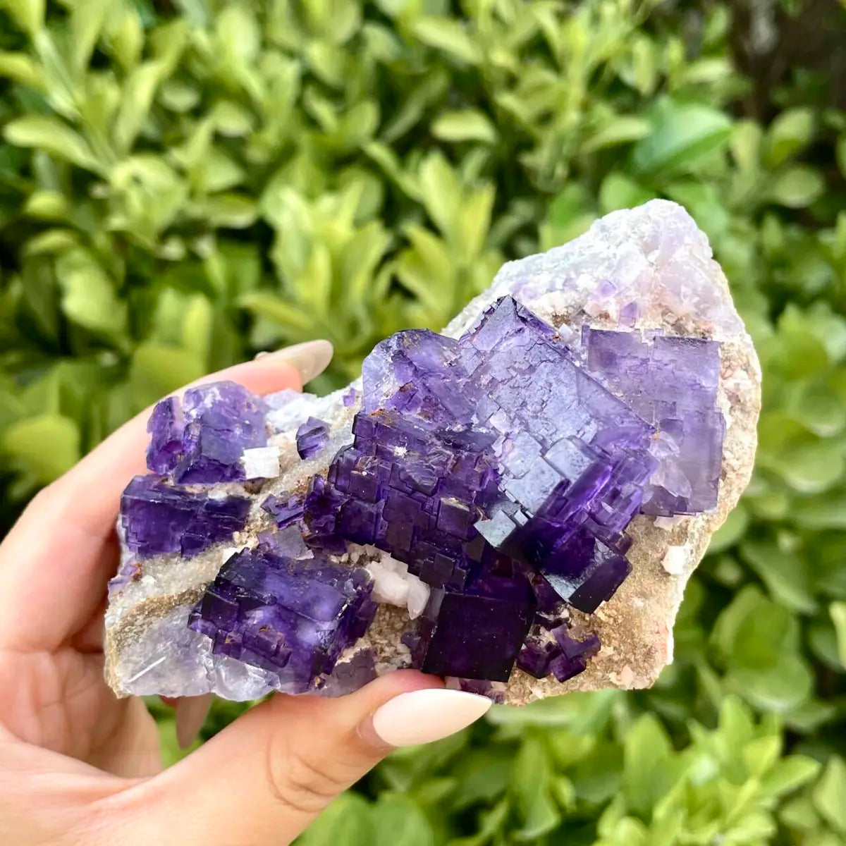 Xinjiang Matrix Fluorite Specimen | Xinjiang, China | 370g | 10*7*9cm | Fluorite on Matrix | Collector Mineral Sample