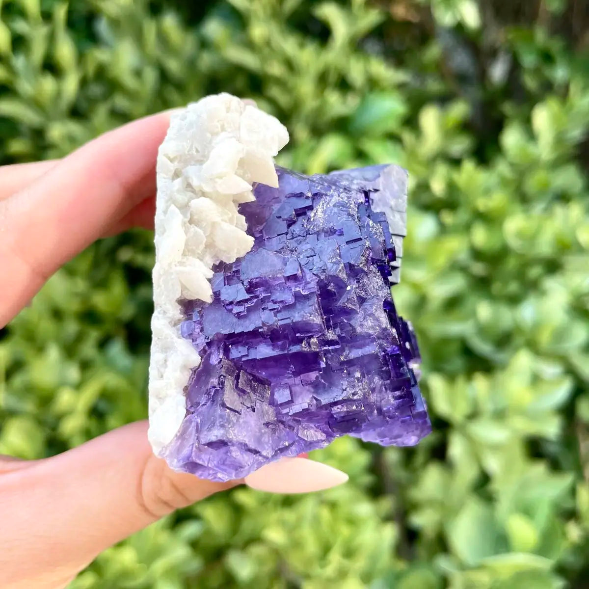 Xinjiang Matrix Fluorite Specimen | Xinjiang, China |200g | 6*5*5 cm | Fluorite on Matrix | Collector Mineral Sample