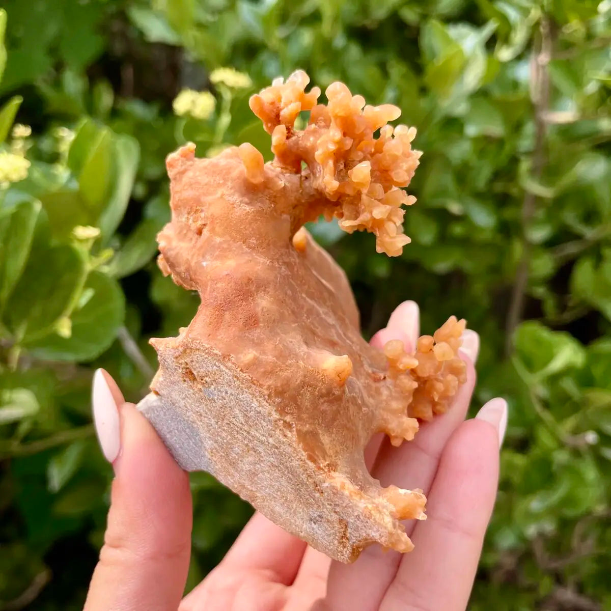 Natural Mimetite Crystal Cluster on Matrix | 210g | 7.5*8*4 cm | Rare Lead Mineral Specimen | Mineral Collection