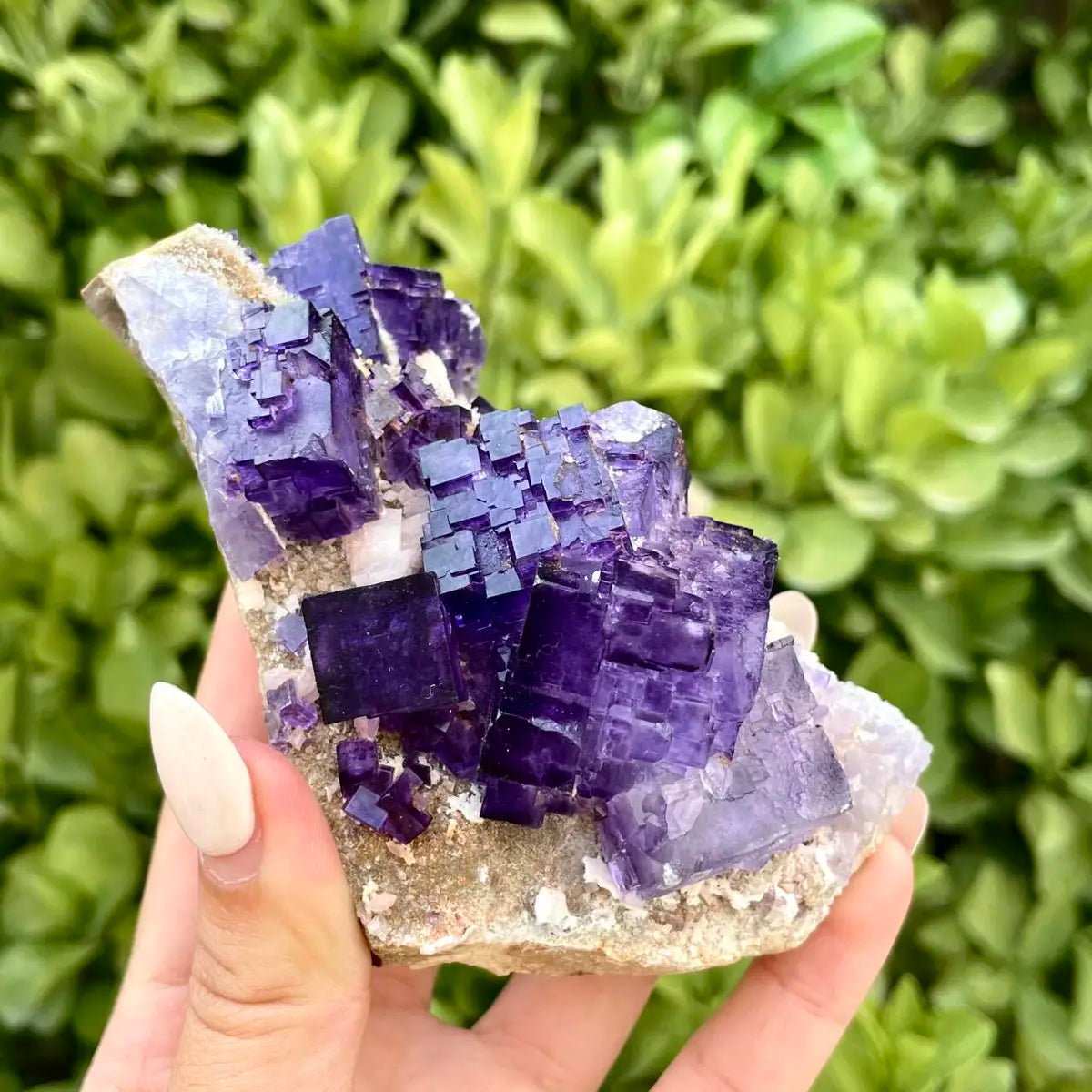 Xinjiang Matrix Fluorite Specimen | Xinjiang, China | 370g | 10*7*9cm | Fluorite on Matrix | Collector Mineral Sample