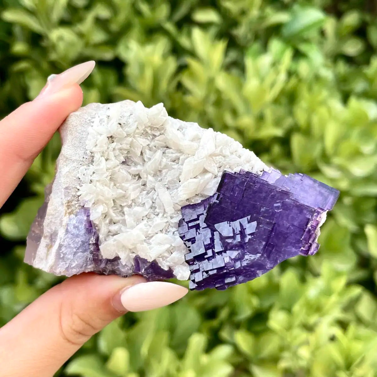 Xinjiang Matrix Fluorite Specimen | Xinjiang, China | 130g | 7.5*5*4cm | Fluorite on Matrix | Collector Mineral Sample