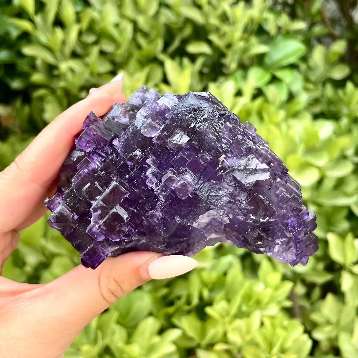 Xinjiang Matrix Fluorite Specimen | Xinjiang, China | 440g | 9.5*7*5 cm | Fluorite on Matrix | Collector Mineral Sample
