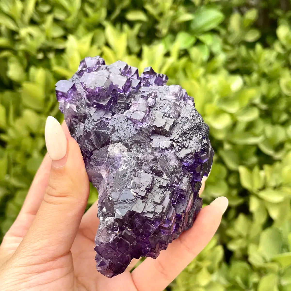 Xinjiang Matrix Fluorite Specimen | Xinjiang, China | 440g | 9.5*7*5 cm | Fluorite on Matrix | Collector Mineral Sample