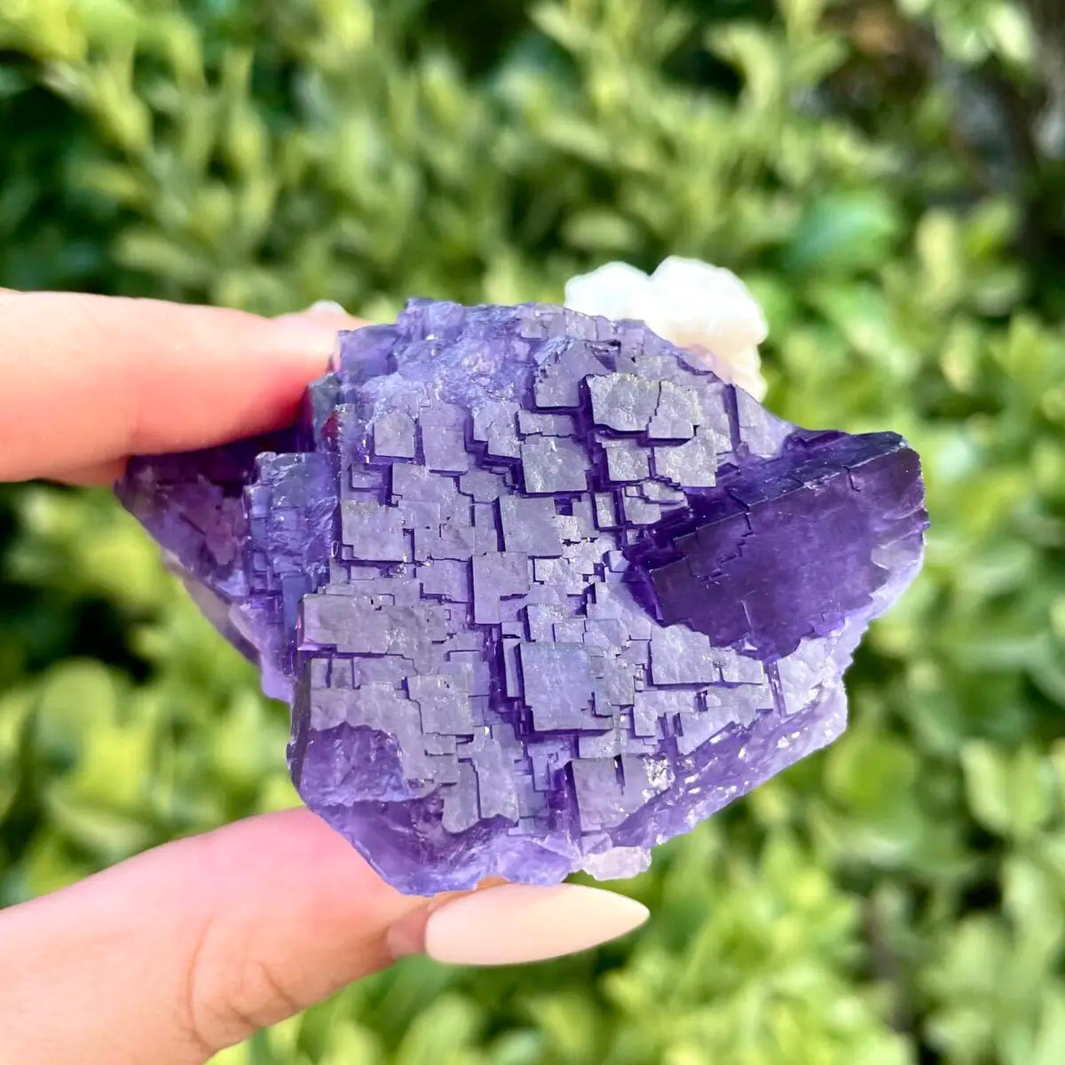 Xinjiang Matrix Fluorite Specimen | Xinjiang, China |200g | 6*5*5 cm | Fluorite on Matrix | Collector Mineral Sample