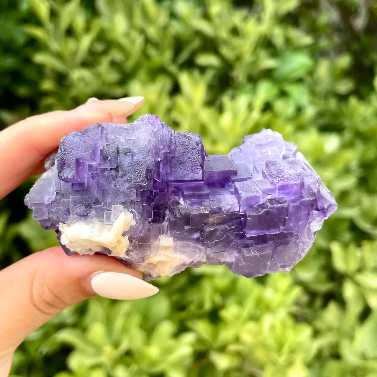 Xinjiang Matrix Fluorite Specimen | Xinjiang, China | 210g | 7.5*6.5*4cm | Fluorite on Matrix | Collector Mineral Sample