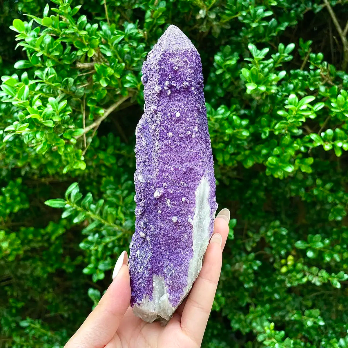 Natural Calcite Crystal Cluster with Purple Mineral Coating |550g | 17.5× 6.5× 5cm | Carbonate Minerals | Inner Mongolia, China