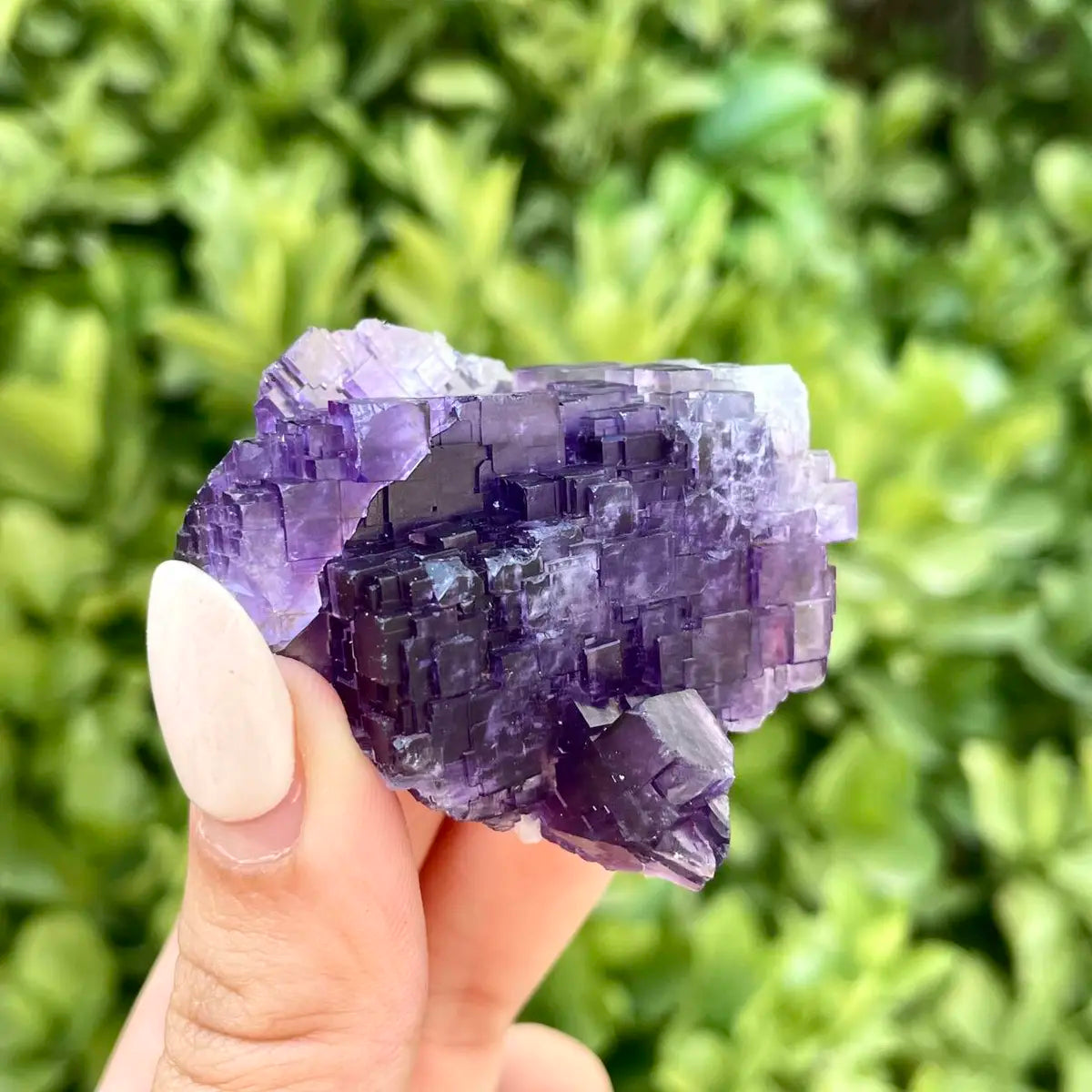 Xinjiang Matrix Fluorite Specimen | Xinjiang, China | 90g |  5*4.5*4cm | Fluorite on Matrix | Collector Mineral Sample