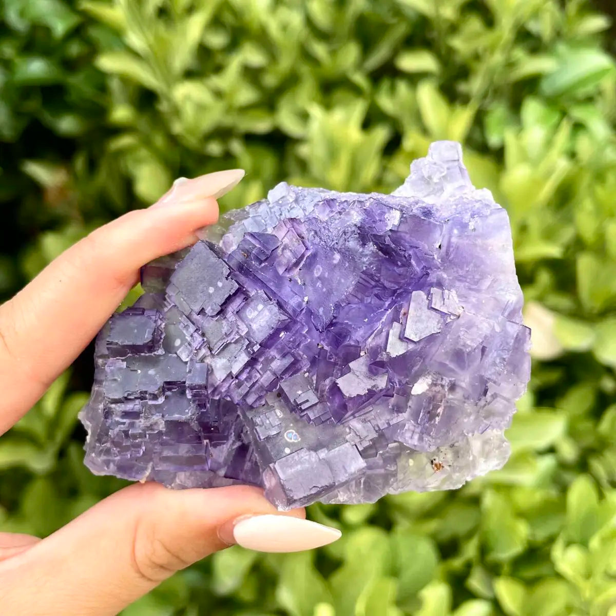 Xinjiang Matrix Fluorite Specimen | Xinjiang, China | 160g | 8.5*6.5*2 cm | Fluorite on Matrix | Collector Mineral Sample