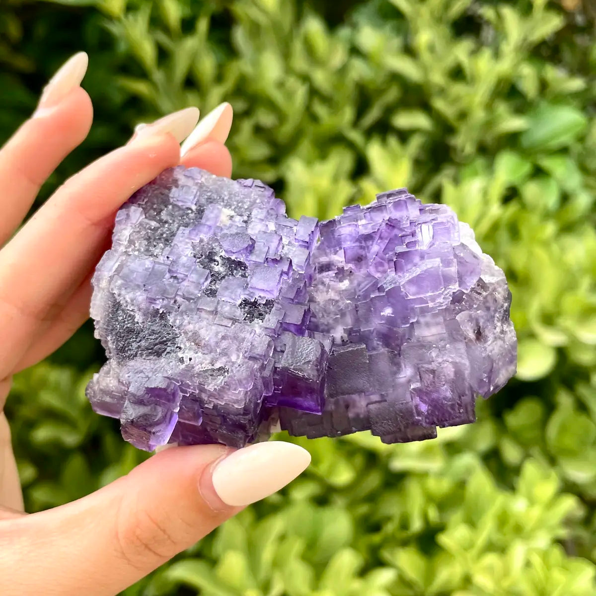 Xinjiang Matrix Fluorite Specimen | Xinjiang, China | 210g | 7.5*6.5*4cm | Fluorite on Matrix | Collector Mineral Sample